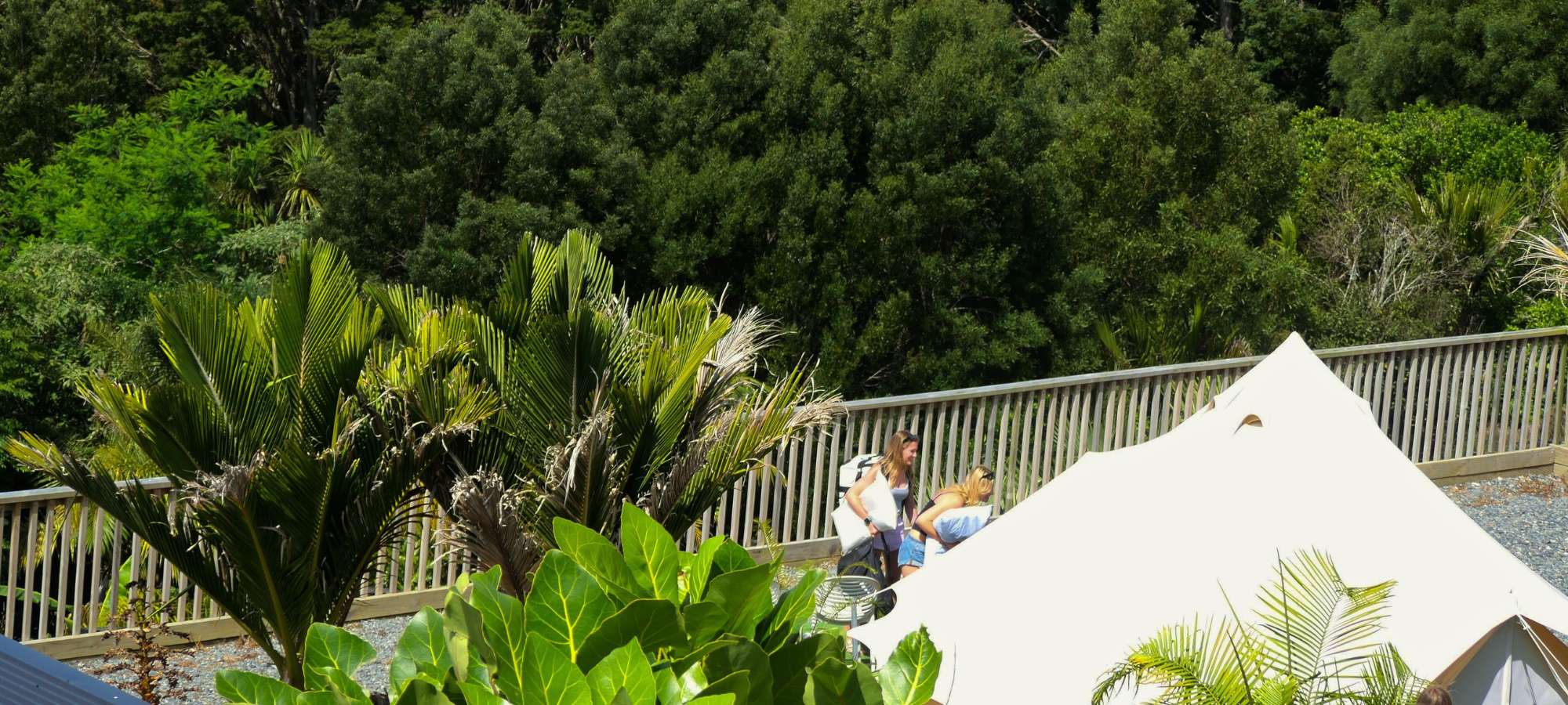 Youth surf camp chirstchurch surf lessons sumner auckland new zealand